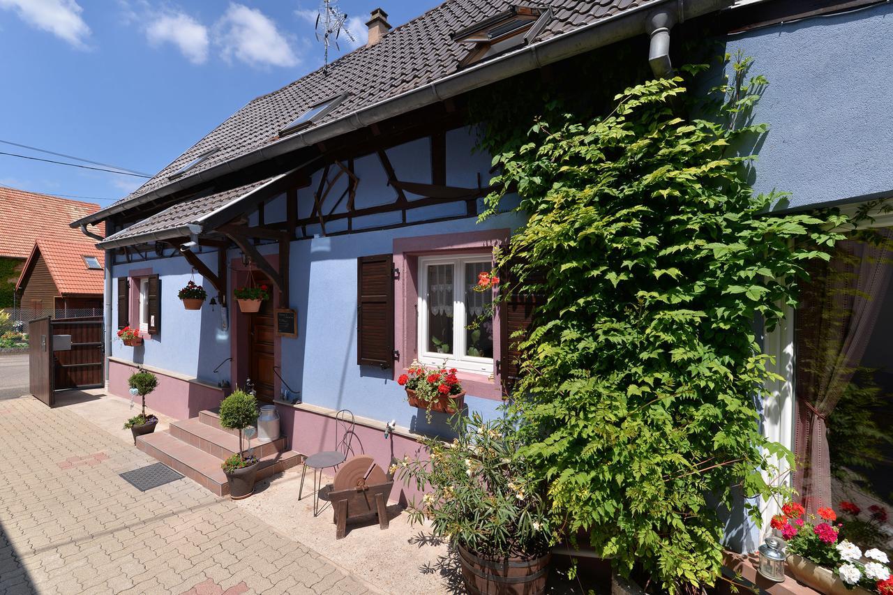 Отель Eden Des Choux Krautergersheim Экстерьер фото